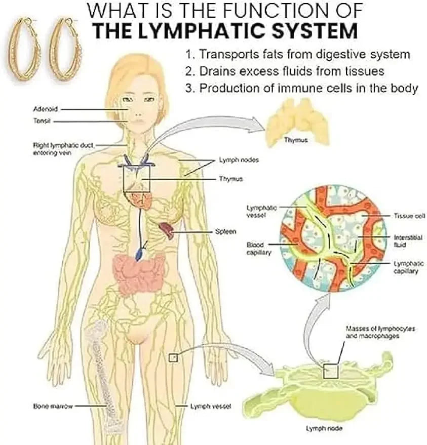 Lymphatic Drainage Slimming Hoop Earring Flysmus Halolux Lymphvity