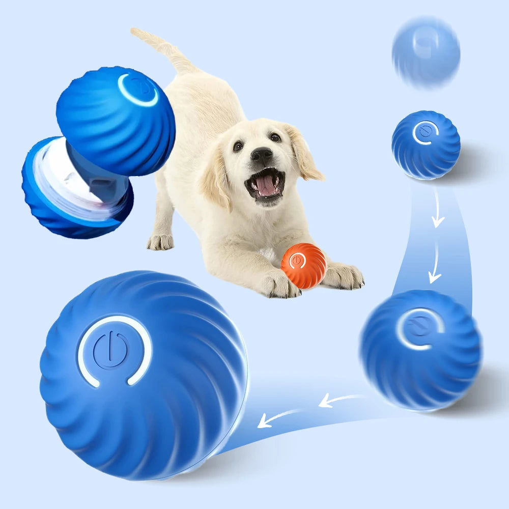 Pet Supplies : XSSM Active Moving Pet Plush Toy, Moving Pet Plush Toy,  Active Moving Pet Toy, Automatic Smart Teasing Dog Ball, Cartoon Plush  Sound Electronic Dog Toy, Interactive Dog Toy Pet