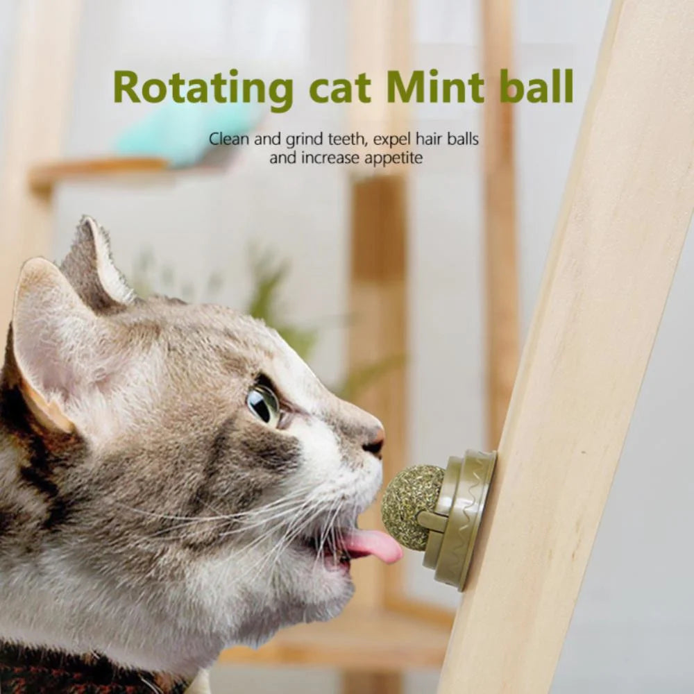 Catnip Cat Wall Stick-on Ball Natural Mint Promote Digestion Cat Grass