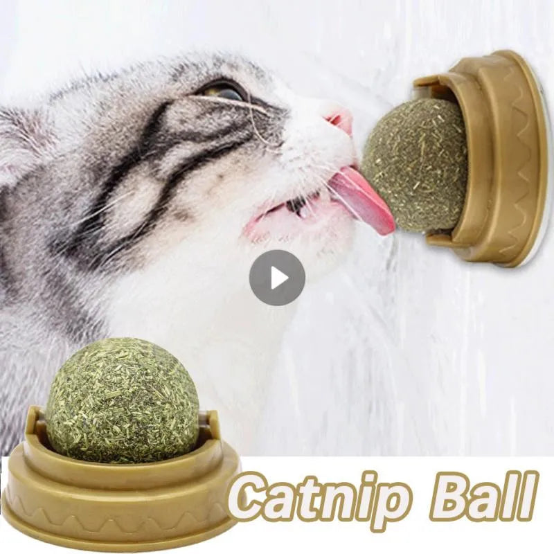 Catnip Cat Wall Stick-on Ball Natural Mint Promote Digestion Cat Grass