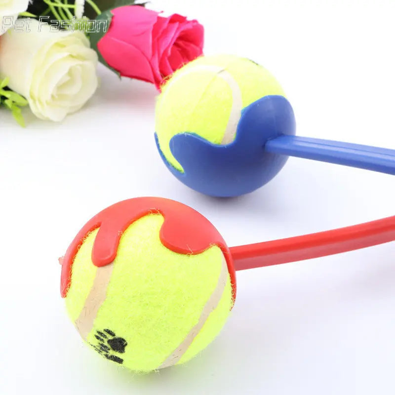 Pet Tossing Toy Ball Club Dog Training Fluorescent Toy Ball Thrower